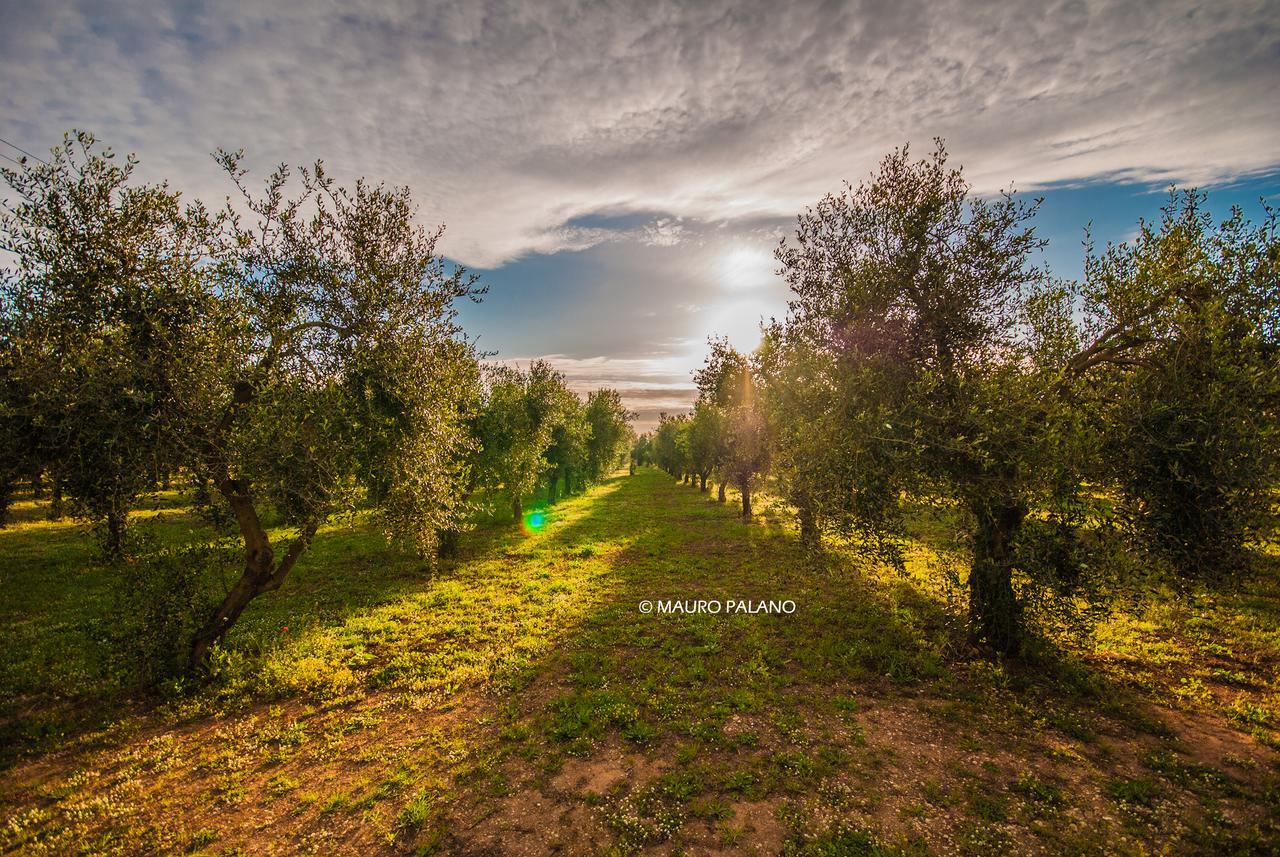 Tenuta Kyrios Borgagne Zewnętrze zdjęcie